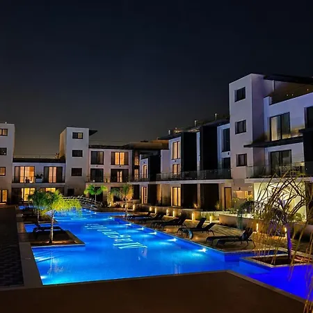 Modern With Pool