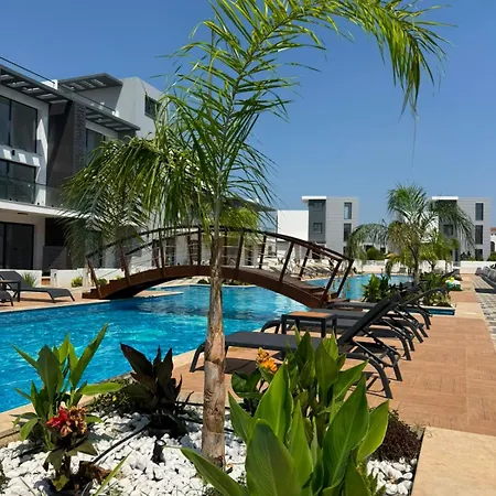 Modern With Pool